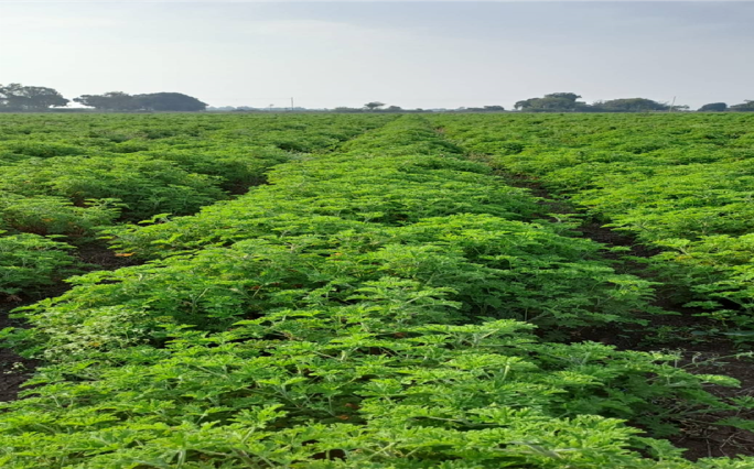 संयुक्त शेतीधारक श्री. सुभाष जुगूल सिंह