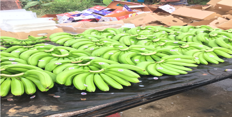 श्रीमती मृणालिनी अभिजीत पवार