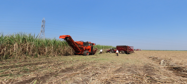 श्रीमती अर्चना सतिश सवाई