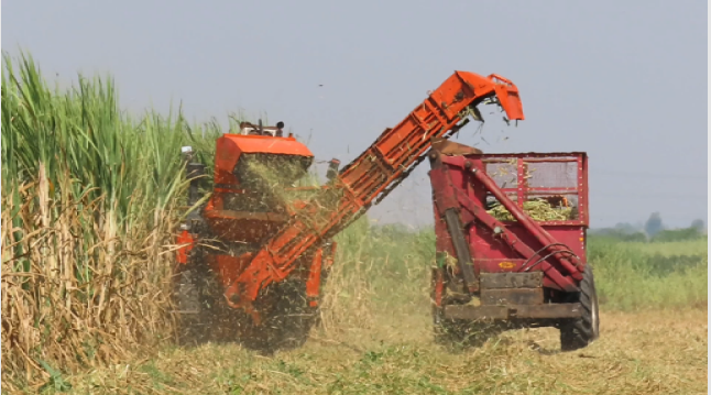 श्रीमती अर्चना सतिश सवाई