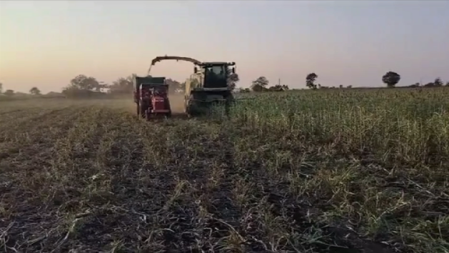 लक्ष्मीवाडी फार्म